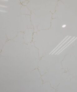 Taj Mahal Gold Printed Quartz