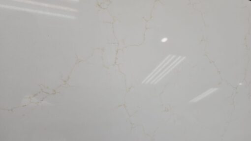 Taj Mahal Gold Printed Quartz
